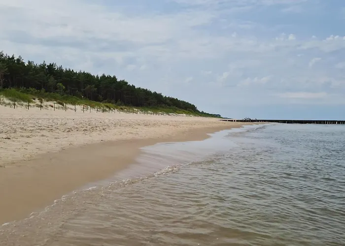 Czarna Perla * 드지우노웨크